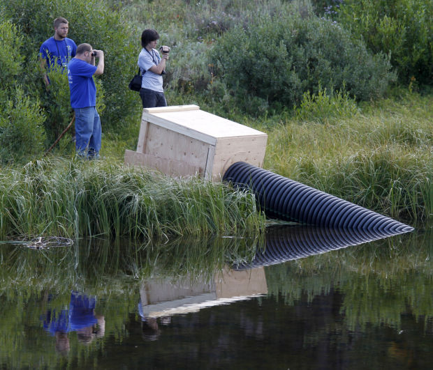 Fuel Leak Beaver Recovery